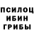 ГАШИШ Изолятор Daria Dashulya