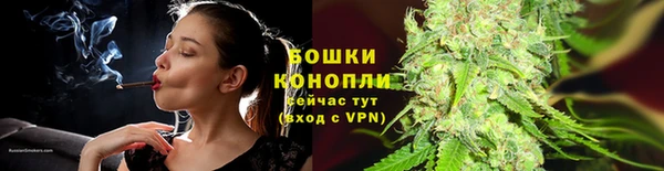 молекула духа Лиски