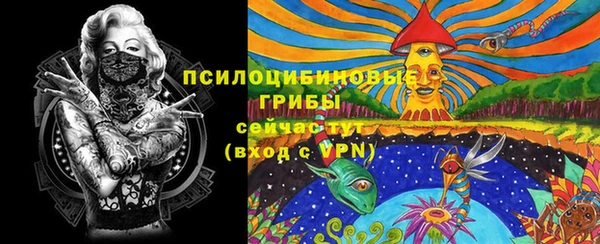 молекула духа Лиски