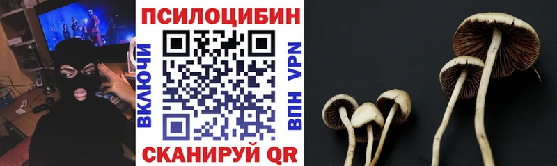 Купить  Юрюзань  Галлюциногенные грибы Psilocybine cubensis 
